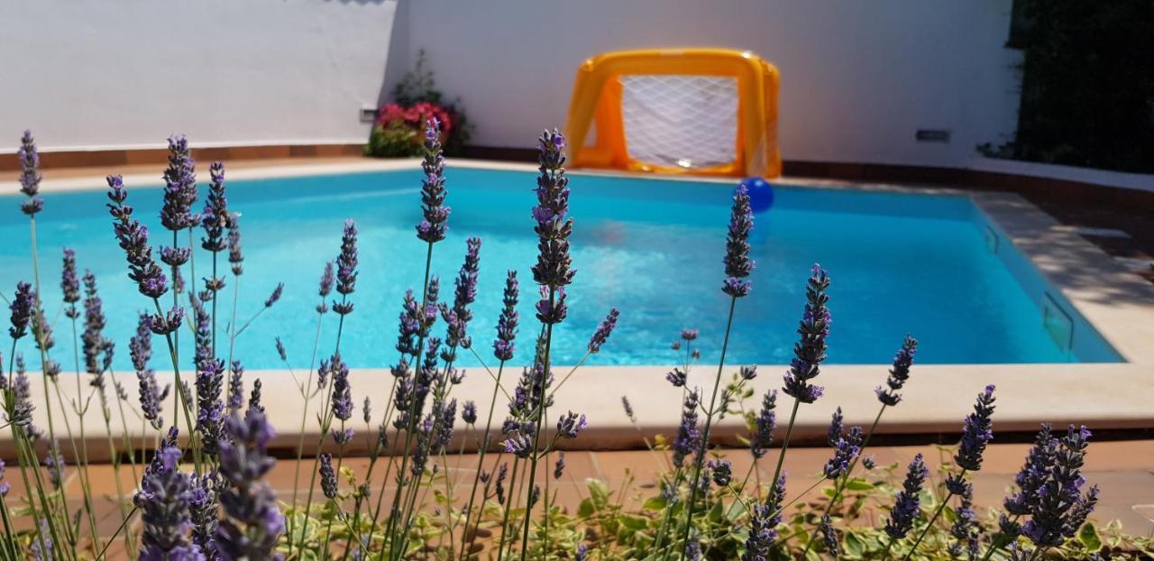 Guest house Bizjak Vinkuran Extérieur photo