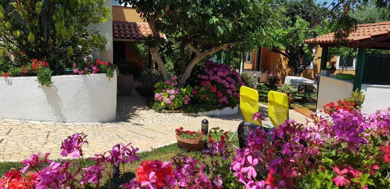 Guest house Bizjak Vinkuran Extérieur photo
