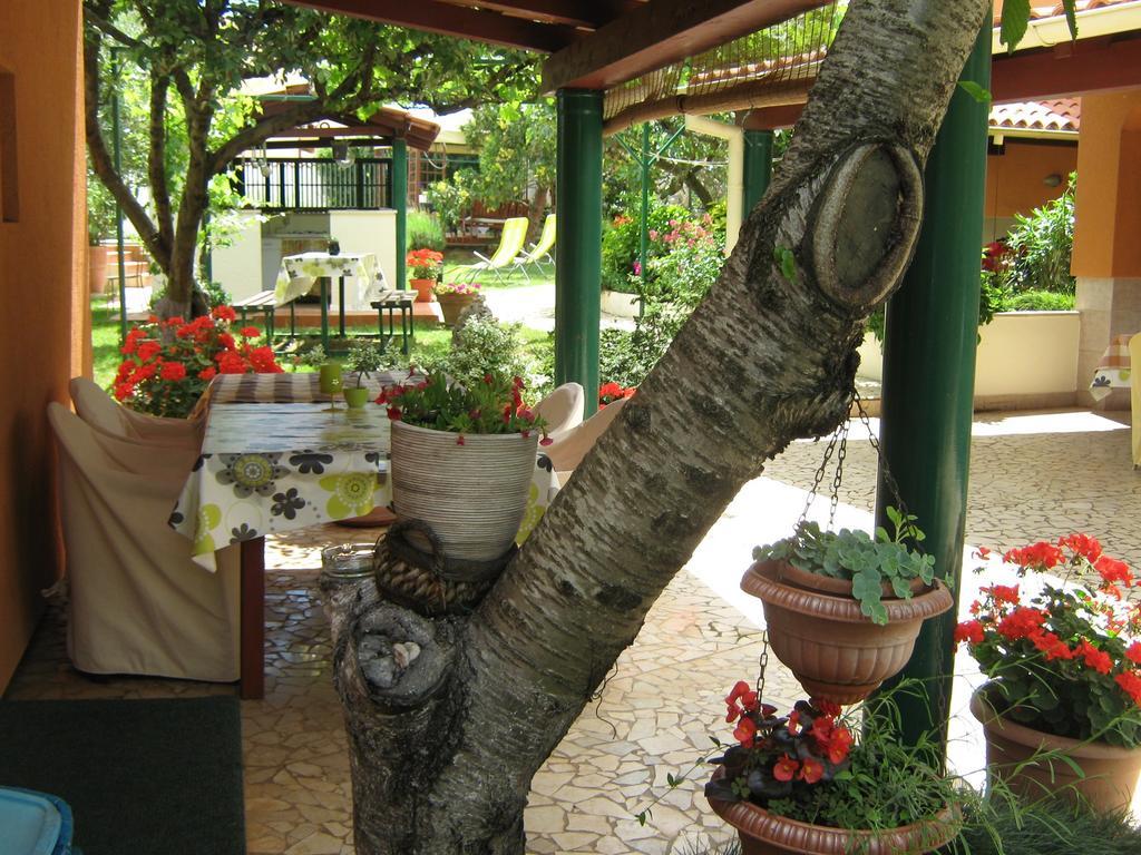 Guest house Bizjak Vinkuran Extérieur photo