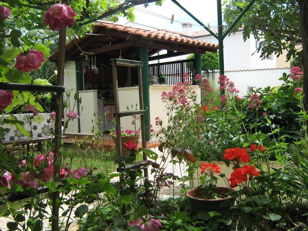 Guest house Bizjak Vinkuran Extérieur photo